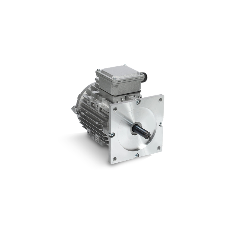 CBAB Three Phase Dock Leveller Motor